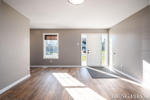 foyer featuring dark wood-type flooring