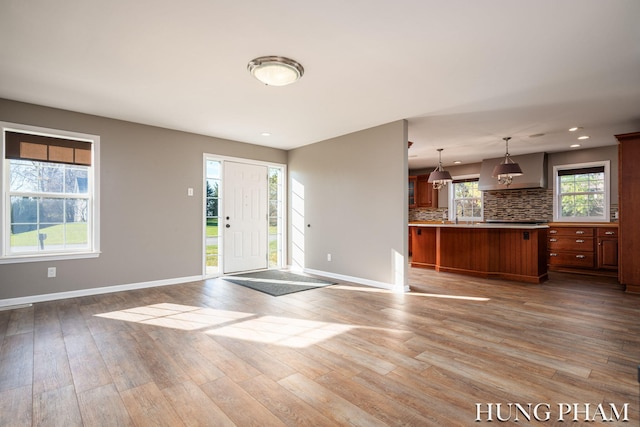 foyer with light hardwood / wood-style floors