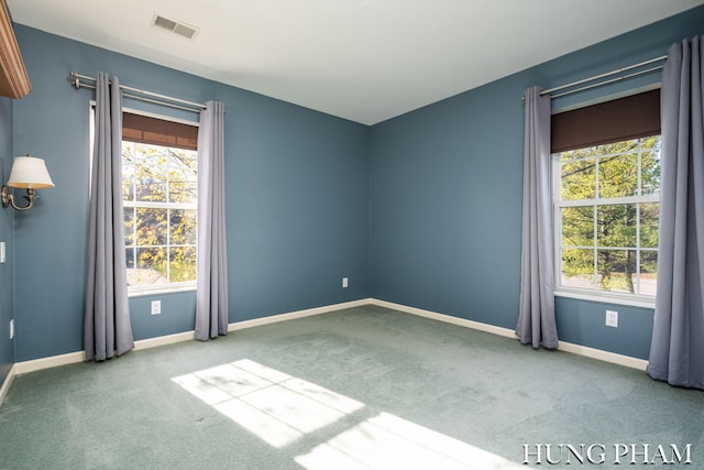 unfurnished room featuring a healthy amount of sunlight and carpet