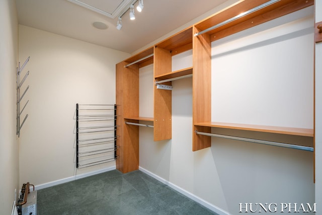 spacious closet with dark carpet