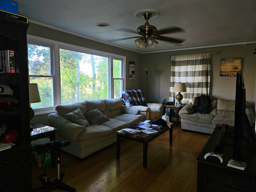 living room featuring crown molding, a healthy amount of sunlight, and dark hardwood / wood-style floors