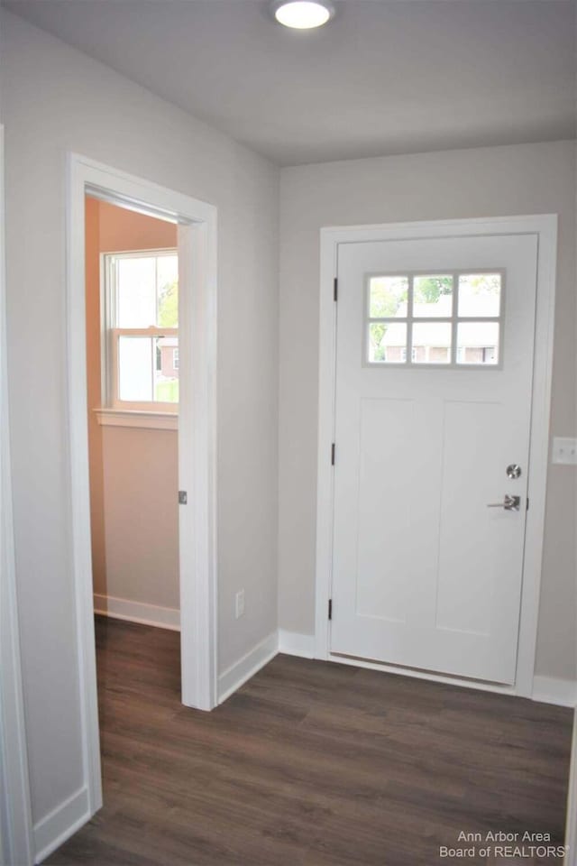 entrance foyer featuring dark hardwood / wood-style flooring