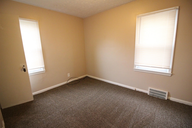 carpeted spare room with plenty of natural light and a textured ceiling