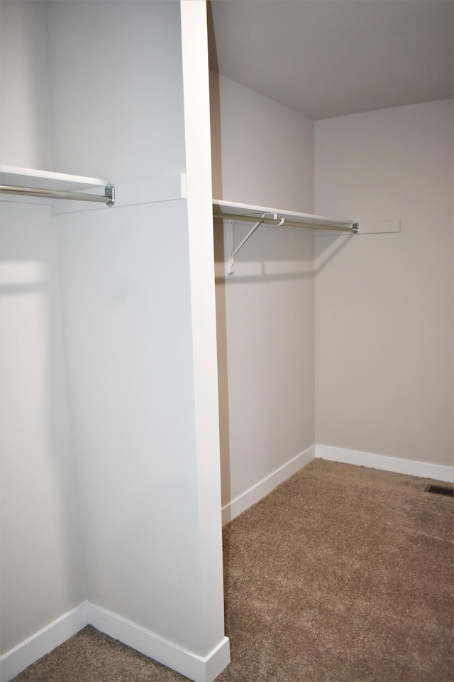 spacious closet with carpet