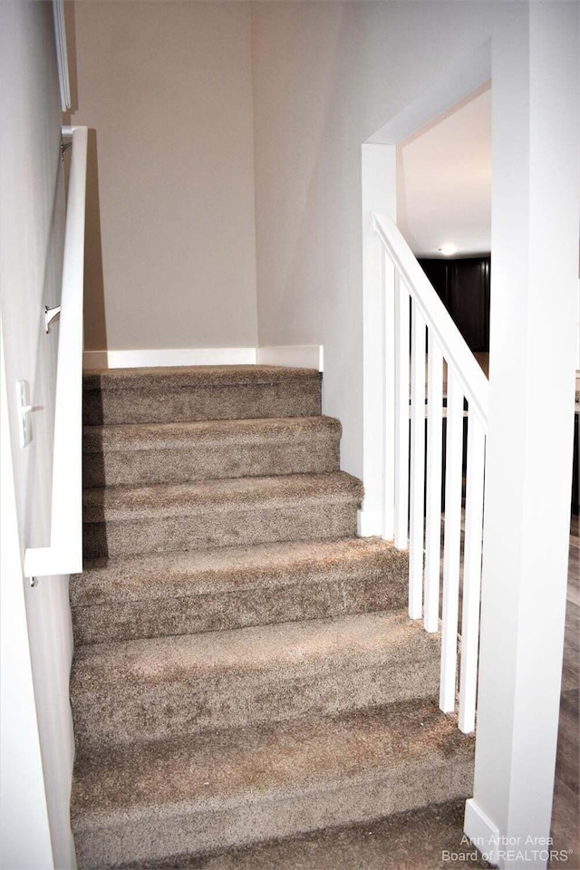 staircase with carpet floors