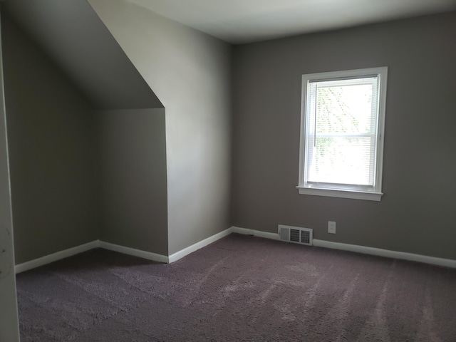 additional living space featuring carpet floors