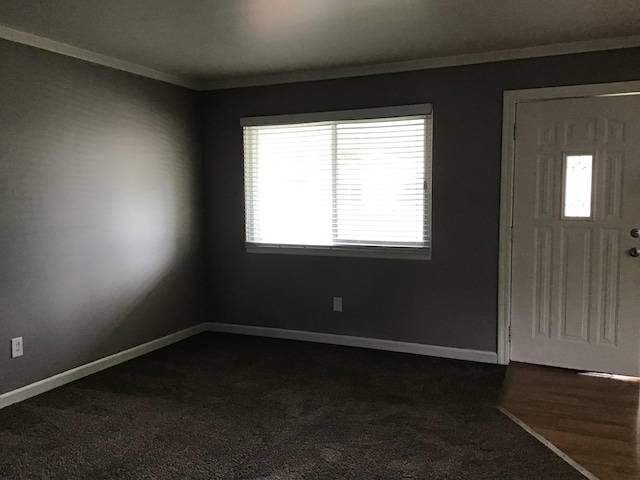 foyer featuring wood-type flooring, a healthy amount of sunlight, and crown molding