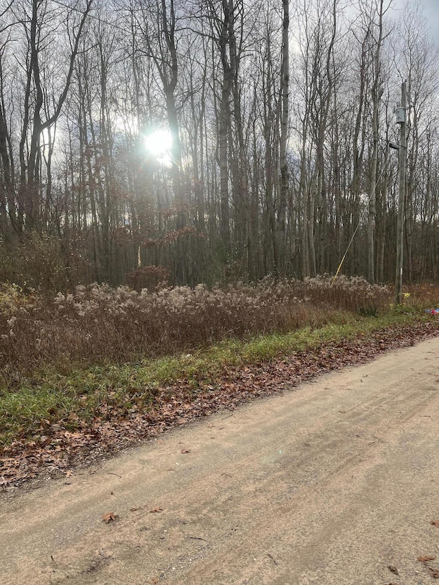 LOT3 Pakes Rd, Stanton MI, 48888 land for sale