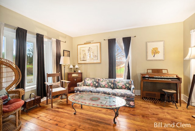 living room with a healthy amount of sunlight and wood-type flooring