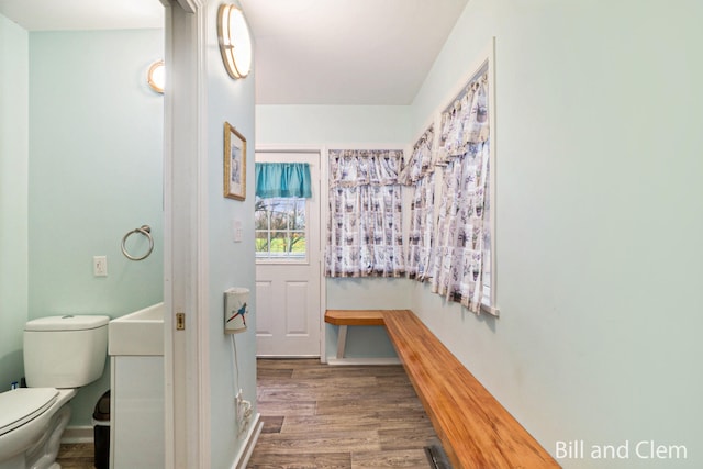 bathroom with wood-type flooring and toilet