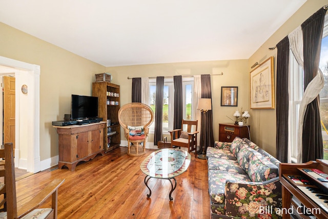 living room featuring wood-type flooring