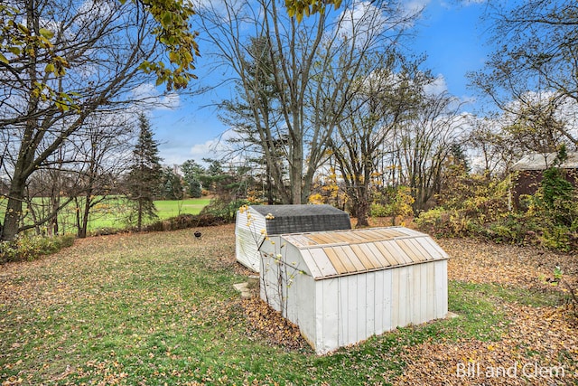 view of yard featuring a shed