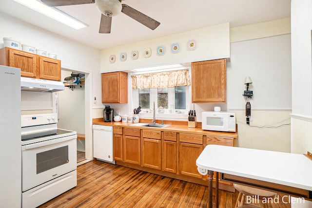 kitchen with ceiling fan, light wood-type flooring, sink, and white appliances