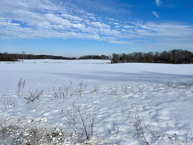 view of yard layered in snow