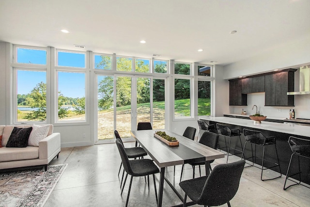 dining room with a wealth of natural light