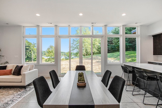 dining room with a wealth of natural light