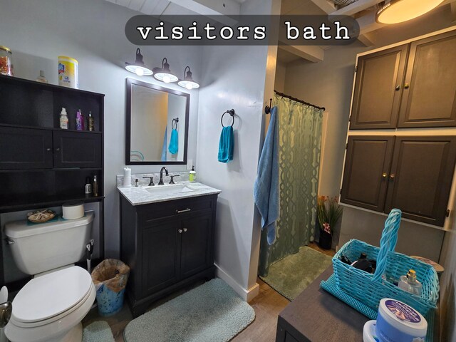 bathroom featuring toilet, vanity, and curtained shower