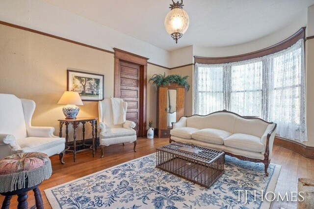 living room with wood-type flooring