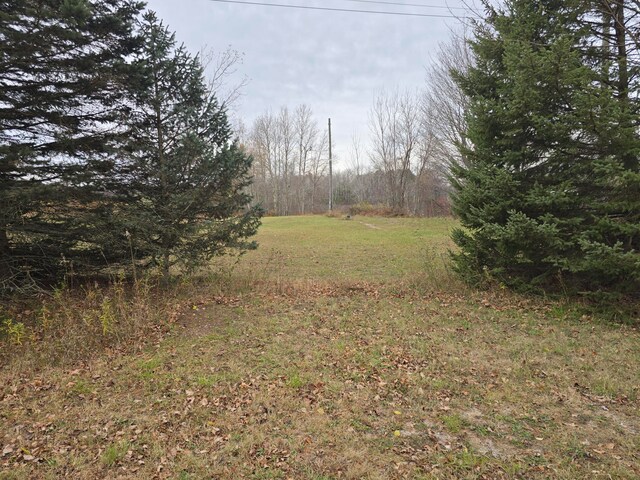 V/L N 48th Ave, Mears MI, 49436 land for sale