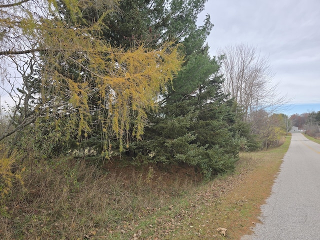 V/L N 48th Ave, Mears, MI 49436 - photo 2