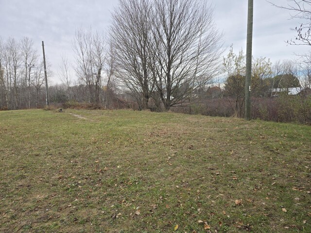 V/L N 48th Ave, Mears, MI 49436 - photo 3