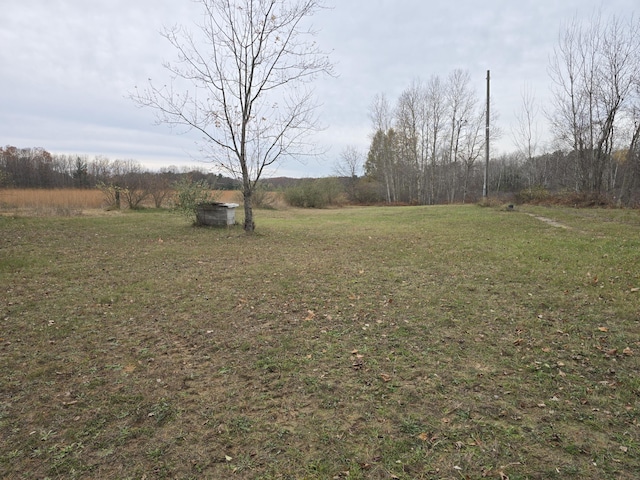 V/L N 48th Ave, Mears, MI 49436 - photo 4