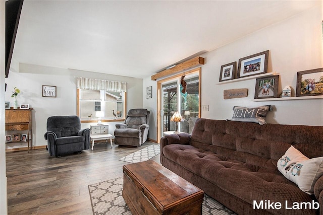 living room with wood-type flooring