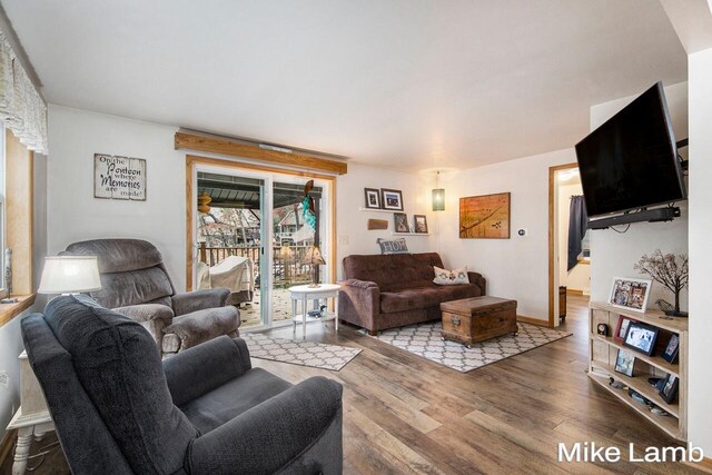 living room with light wood-type flooring