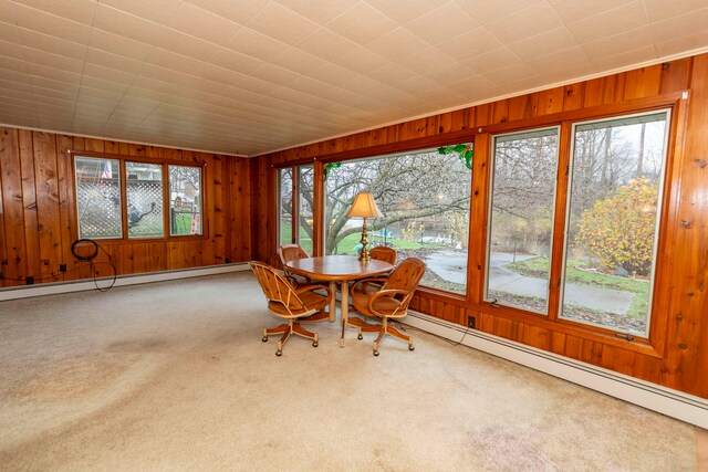 sunroom / solarium with baseboard heating and a wealth of natural light