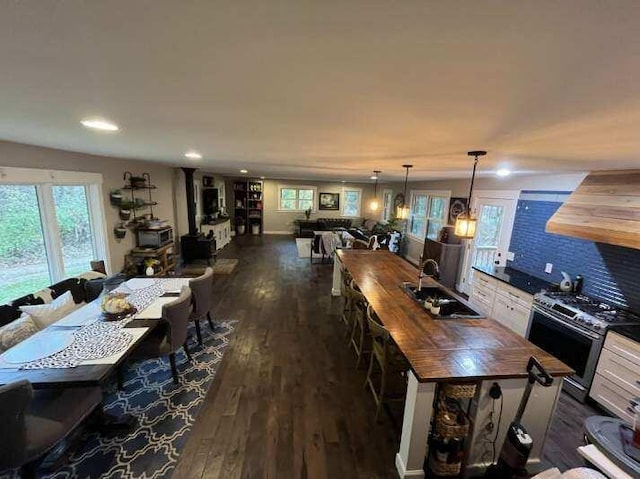 dining space with dark hardwood / wood-style flooring and sink