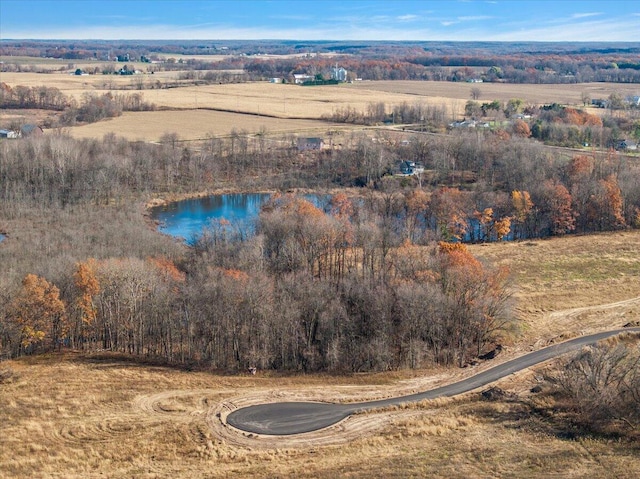 Listing photo 3 for LOT1 Jenks St NE, Belding MI 48809