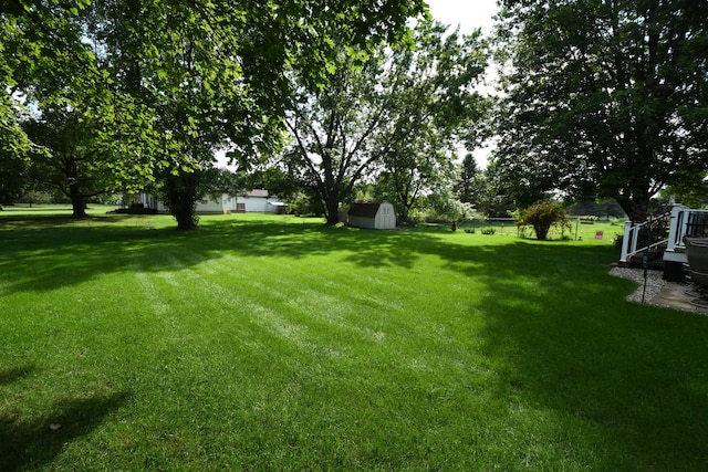 view of yard with a shed