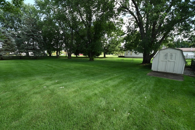 view of yard featuring a shed