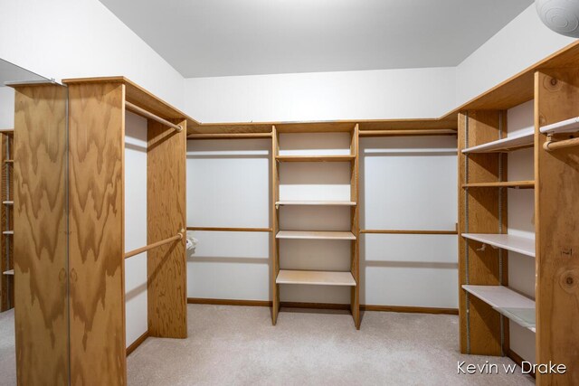 spacious closet featuring light colored carpet