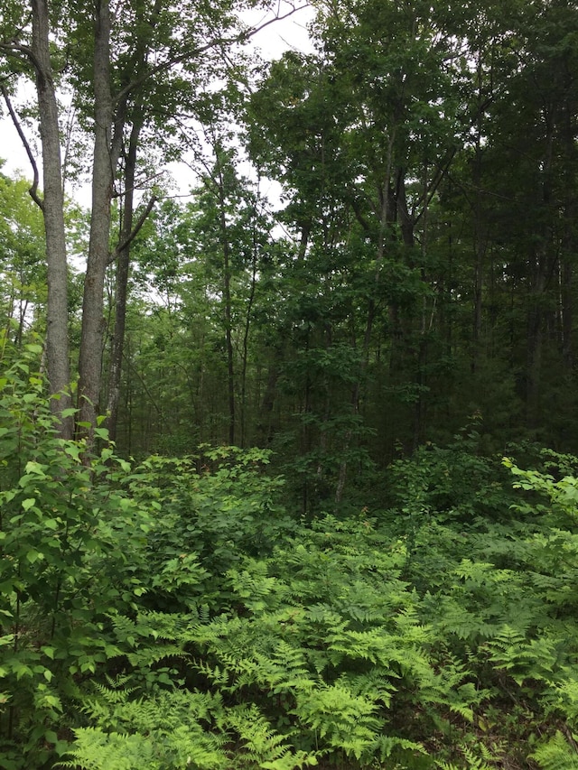Dodge Lk Rd Parcel K, Unit Parcel K, Gaylord, MI 49735