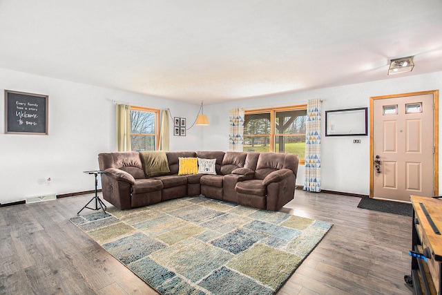 living room featuring wood-type flooring