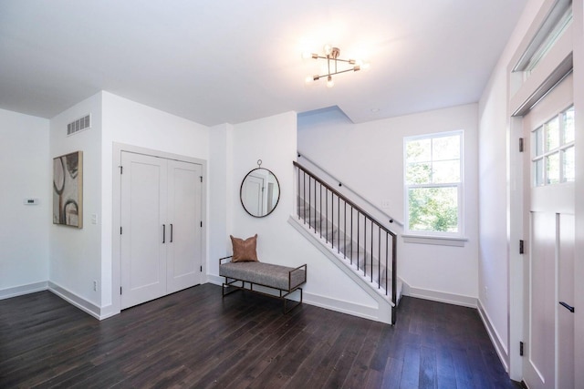 foyer entrance featuring a healthy amount of sunlight and dark hardwood / wood-style flooring