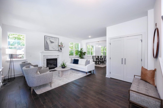 living room featuring a healthy amount of sunlight, a premium fireplace, and dark wood-type flooring