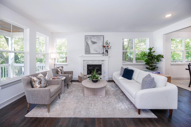 living room with dark hardwood / wood-style flooring and a premium fireplace