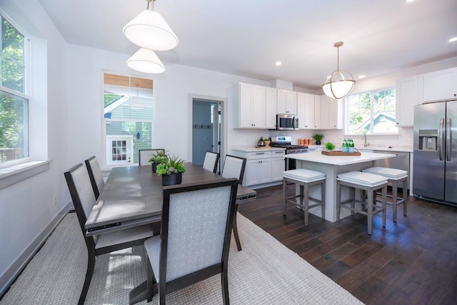 dining area featuring dark hardwood / wood-style floors and sink