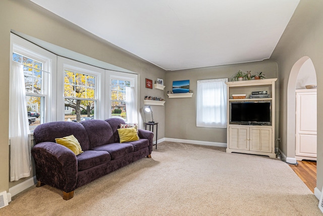 living room featuring hardwood / wood-style flooring