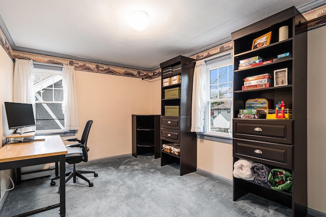 carpeted office with plenty of natural light