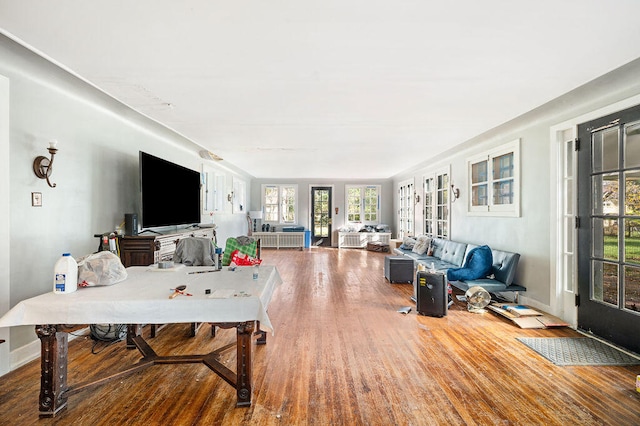 living room with wood-type flooring