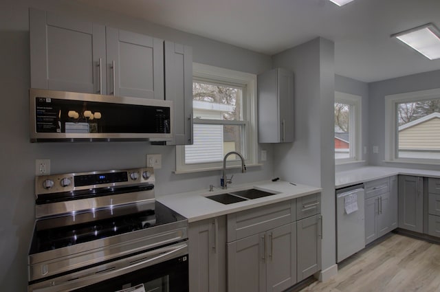 kitchen featuring a wealth of natural light, stainless steel appliances, sink, and light hardwood / wood-style floors