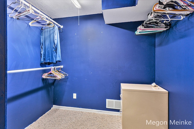 spacious closet featuring carpet