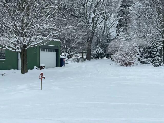 view of snowy yard