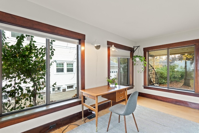 interior space featuring hardwood / wood-style flooring and a healthy amount of sunlight