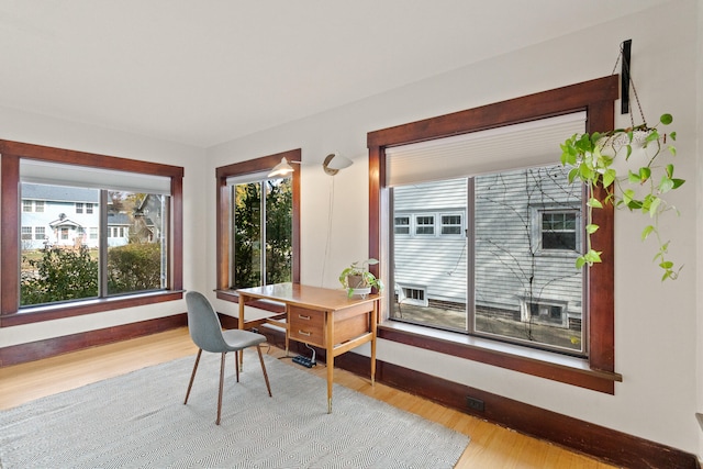 office area featuring plenty of natural light and light hardwood / wood-style flooring