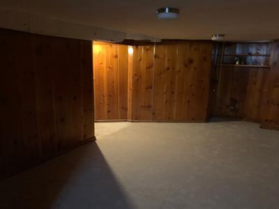 basement with light colored carpet and wooden walls