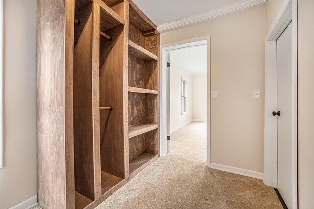 mudroom featuring light colored carpet and crown molding